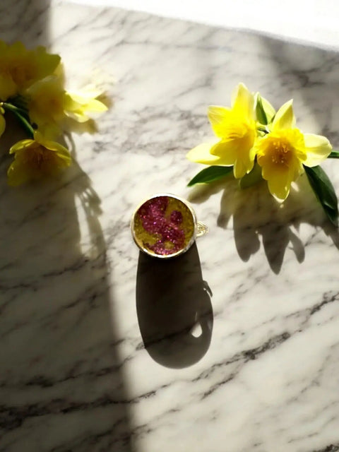 Multicolor Resin Rings Michelle Marie Boutique  Ring