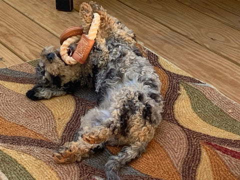 Natural Cotton & Leather Tug Toy - Ring, Knotted Rope - Limited Edition Red, White & Blue Auburn Leathercrafters  item