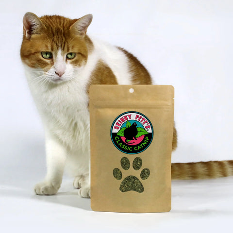 Organic Catnip Packet 25 Gram – Skinny Pete's Gourmet Catnip | Made in USA Skinny Pete's Gourmet Catnip  Pet Gift