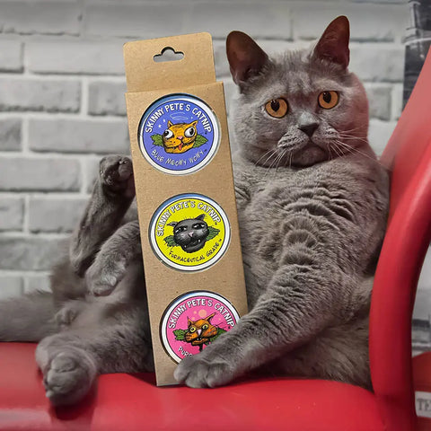 A gray cat lounges on a red chair, one paw on a box with three colorful Skinny Petes Gourmet Catnip stickers for the Three Piece Gourmet Catnip Gift Set. A gray brick wall serves as the background.