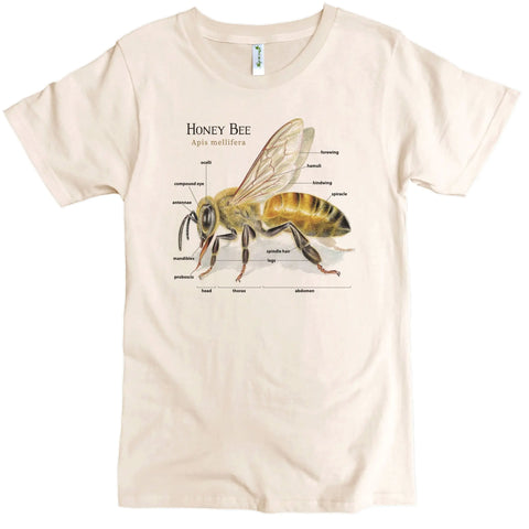 The Bee Anatomy Graphic Tee by Spiritex | Sustainable Apparel is a cream-colored organic cotton crewneck, featuring a detailed bee anatomy illustration labeled with parts and Honey Bee Apis mellifera above the graphic.