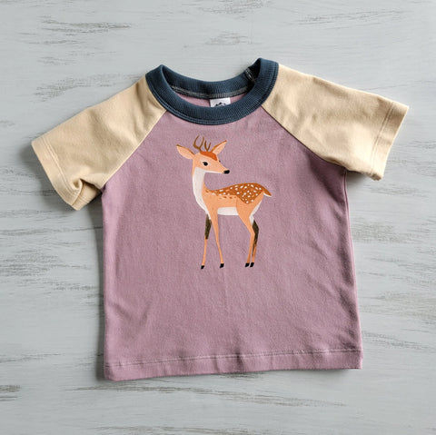 Organic Cotton Kids Graphic T-Shirt – Soft Stretch Pig Design – 2T Size | Made in USA Apparel Adventure Clothes Company 