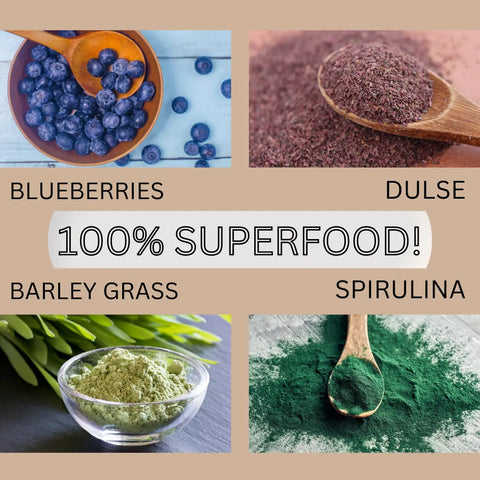 Collage of four superfoods: blueberries, dulse powder, barley grass powder, and spirulina. Text reads: Oceans Balance Detox Smoothie Powder—100% superfood! Ideal for organic smoothies or detox blends.