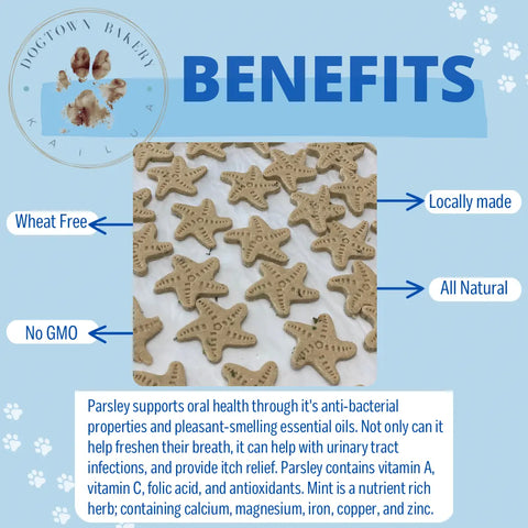 A photo of Brah Yo Breath star-shaped dog treats by Dogtown Bakery features text: Wheat Free, No GMO, Locally made, All Natural. Description notes parsley supports oral hygiene and minerals. Dogtown Bakery logo appears in the corner.