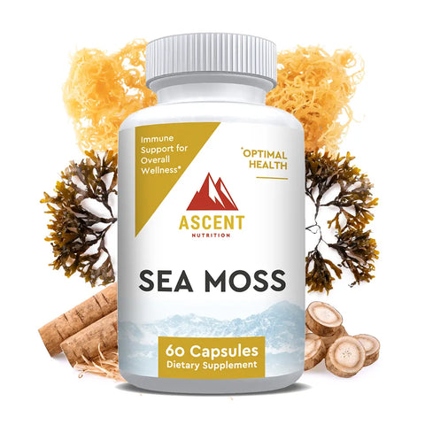 Organic Sea Moss Blend Capsules 500 mg – Immune Support and Detox Supplement – 60 Count | Made in USA Ascent Nutrition  simple