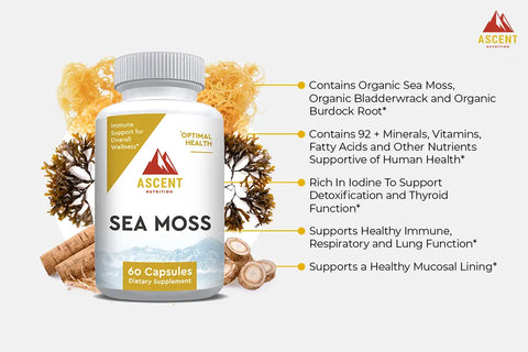 Organic Sea Moss Blend Capsules 500 mg – Immune Support and Detox Supplement – 60 Count | Made in USA Ascent Nutrition  simple