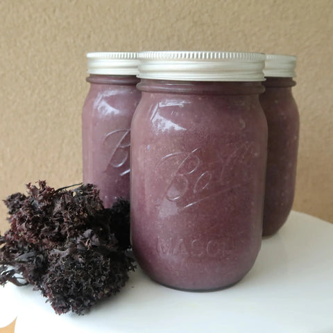Three mason jars of Oceans Balance Organic Whole Leaf Irish Moss, filled with a thick purple liquid, sit on a white surface beside dried seaweed. The jars have silver lids and are set against a beige background.
