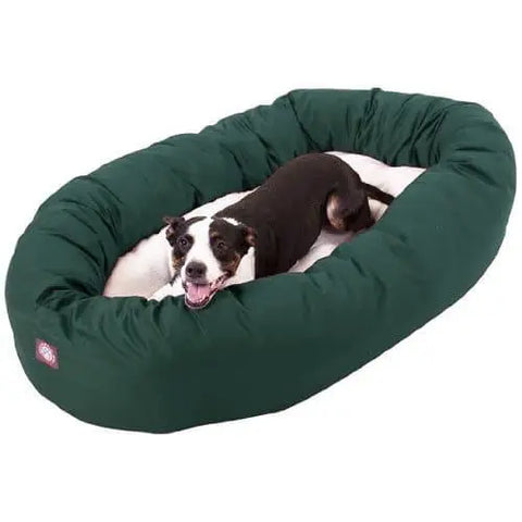 A black and white dog relaxes in a Majestic Pet Poly/Cotton Sherpa Bagel Dog Bed with a cozy, water-resistant green cushion, looking up with its mouth open and tongue out.