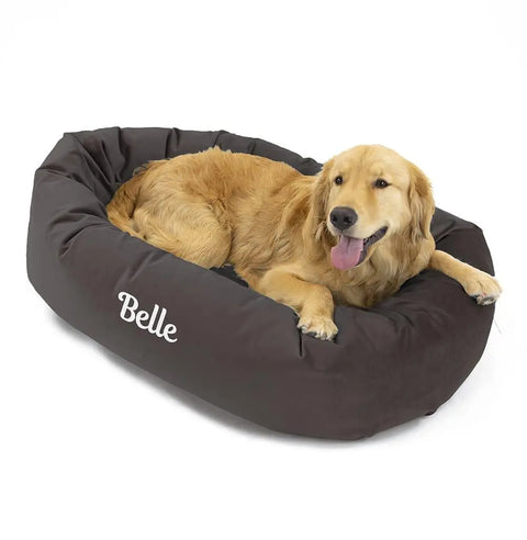 A golden retriever relaxes on a Majestic Pet Velvet Bagel Dog Bed - Personalized in dark brown, with Belle embroidered on the side, looking happy with its tongue out.