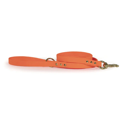 Owasco Biothane Dog Leash 6ft – Durable Field and Everyday Use – Made in USA | Upland & Downstream Auburn Leathercrafters  item