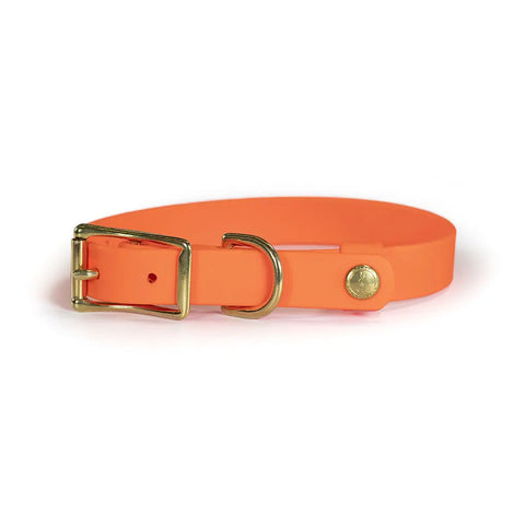 Owasco Biothane Field Dog Collar With Tail Snap – Durable Hunting Collar – Made in USA Auburn Leathercrafters  item
