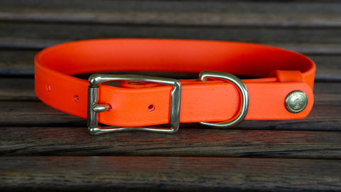 Owasco Biothane Field Dog Collar With Tail Snap – Durable Hunting Collar – Made in USA Auburn Leathercrafters  item
