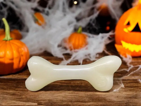 A SodaPup PUP-X Synthetic Rubber Chewing & Floating Bone Toy - Glow in the Dark rests on a wooden surface with pumpkins, cobwebs, and a jack-o-lantern nearby, creating a festive Halloween scene.