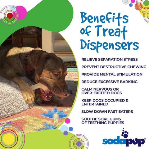 A brown dog chews a glow-in-the-dark PUP-X Synthetic Rubber Chewing & Floating Bone Toy by SodaPup indoors. Text highlights stress relief, mental stimulation, and gum soothing benefits. SodaPup logo appears below.