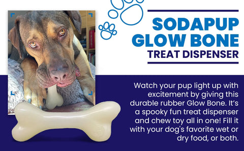 A brown dog licks a white glow-in-the-dark SodaPup PUP-X Synthetic Rubber Chewing & Floating Bone Toy. Dishwasher safe, doubles as a chew toy and treat holder for wet or dry food. Blue paw prints decorate the ad.