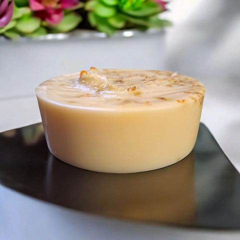 Pack of 2 Handmade Goat Milk Loofah Soap Duo – Orange Zest & Honey Scent | Natural Bath Bar | Made in USA Frances Farm & Craft 