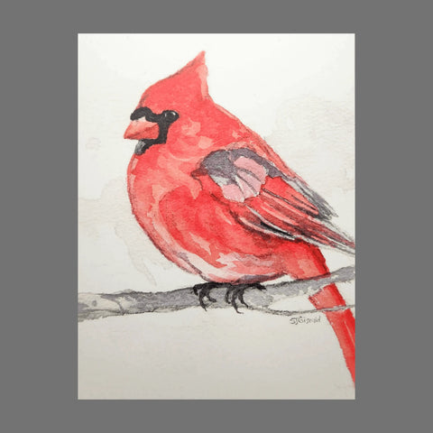 Pack of 4 - Cardinal on Branch (20074) by JuLu Cards features a delicate watercolor of a red cardinal perched on a branch, facing left, with white background—ideal for nature or bird-themed greeting cards.