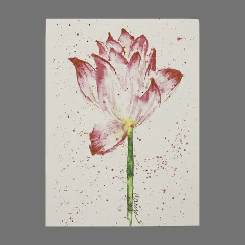 JuLu Cards Pack of 4 - Single Flower With Speckles (20044) features watercolor pink lotus flowers with green stems and pink speckles on a white background, ideal for cards or small prints. The artists signature is near the stem base.
