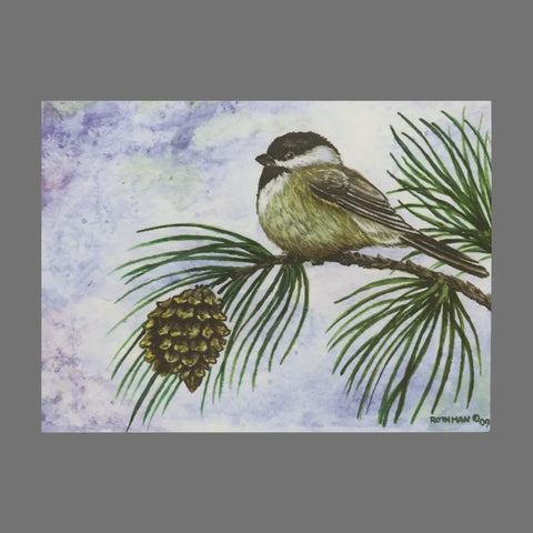 JuLu Cards Pack of 4 - Small Bird on Evergreen Branch With Pinecone (20031) features a black-capped bird on a pine branch with a pine cone against a soft sky—perfect for cards or card-sized prints, complete with matching envelopes.