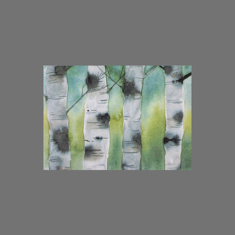 JuLu Cards Pack of 8 - Four Birch Trees (10097) features watercolor birch trees with white bark on a soft green and blue background, ideal for greeting cards or 3.5 x 5 cards that capture the serene beauty of the forest.