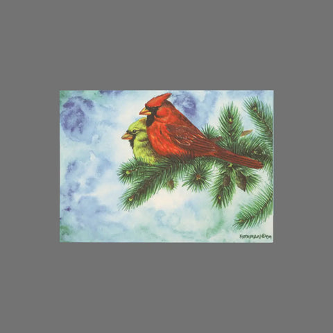 JuLu Cards’ Pack of 8 - Cardinals on Evergreen Branch (10033) features watercolor red male and greenish female cardinals on a pine branch against a blue sky, perfect for 3.5 x 5 greeting cards with matching envelopes.