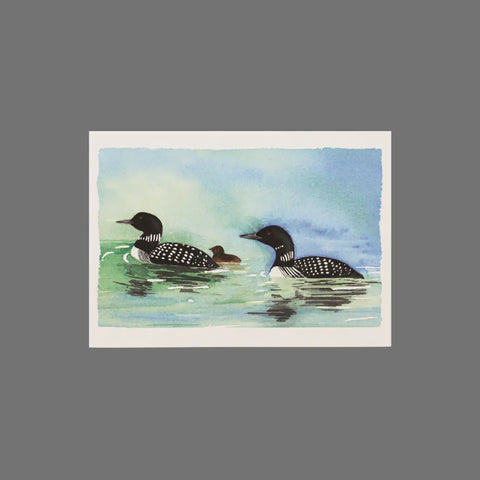 JuLu Cards Pack of 8 - Loons in Water (10040): Features illustration of two adult loons and a chick swimming on blue-green water under a blue sky. Each 3.5 x 5 inch card comes with an envelope.