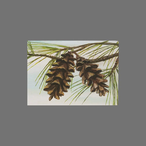 The Pack of 8 - Two Pinecones on Evergreen Branch (10042) by JuLu Cards features two brown pine cones hanging from a pine branch with long green needles—ideal for cards or envelopes.
