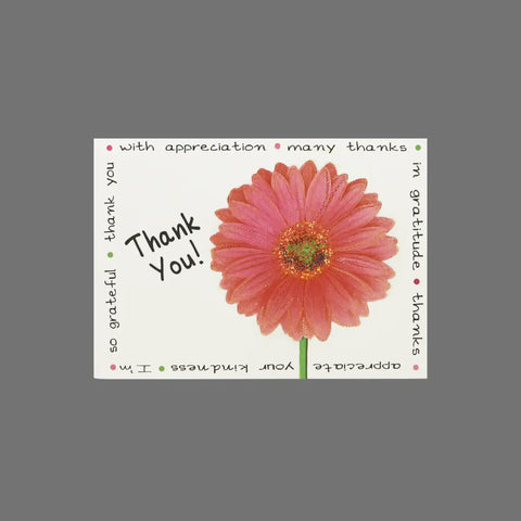 The JuLu Cards Pack of 8 features Thank You! beside a pink daisy, with phrases like with appreciation and so grateful in colorful borders—the perfect card size for pairing with envelopes. (10016).