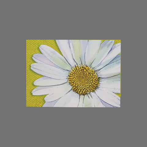 JuLu Cards Pack of 8 White Flower With Yellow Background (10018) features a white daisy design framed on bright green—ideal for 3.5 x 5 cards or envelopes.