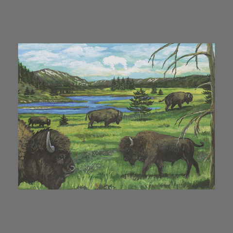 Set of 4 Buffalo Prairie Greeting Cards – Handmade Wildlife Art | Made in USA JuLu Cards  Blank Cards