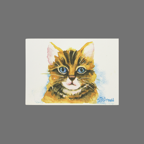 Pack of 8 Cat Greeting Cards – Blue Eye Watercolor Art | Made in USA JuLu Cards  Blank Cards