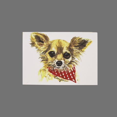 Set of 8 Dog Greeting Cards – Watercolor Red Bandana Design | Made in USA JuLu Cards  Blank Cards