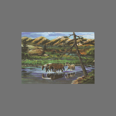 Pack of 8 Nature-Inspired Greeting Cards – Horses Crossing River Scene | Made in USA JuLu Cards  Blank Cards