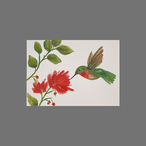Set of 8 Hummingbird Greeting Cards – Red Flower Illustration | Made in USA JuLu Cards  Blank Cards