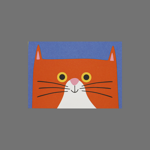 Set of 8 Orange Cat Greeting Cards – Whimsical Blue Background | Made in USA JuLu Cards  Blank Cards