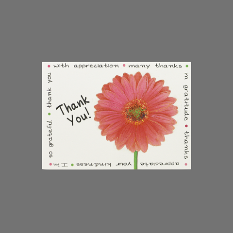Pack of 8 Thank You Cards – Daisy Floral Design with Gratitude Border | Made in USA JuLu Cards  Thank You Cards