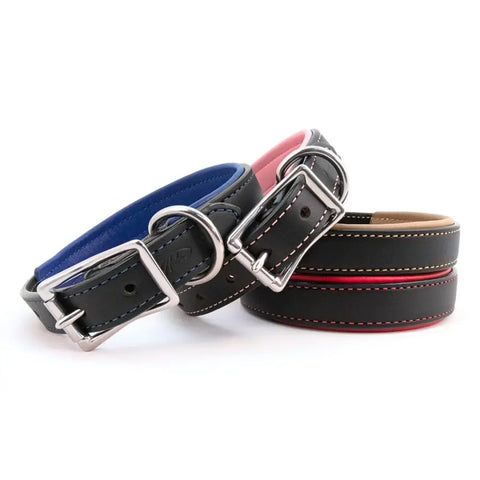 Padded Black Leather Dog Collar – Durable Bridle Leather with Soft Lining | Handcrafted in USA for Comfort and Strength Auburn Leathercrafters  item