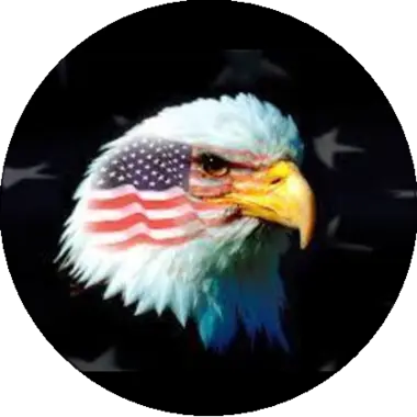 Patriotic Bald Eagle Soy Candle Tin – 35 Hour Burn – Handmade Home Fragrance | Made in USA MorninWood Candles  Candles
