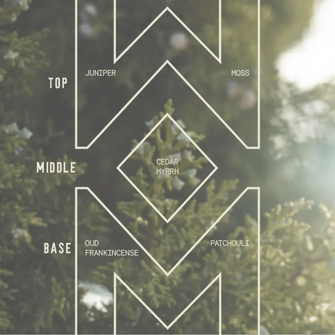A green foliage background with geometric sections labeled Top (Juniper, Moss), Middle (Cedar, Myrrh), and Base (Oud, Frankincense, Patchouli), inspired by Sawdust & Embers Pecos Valley - Signature Candle.