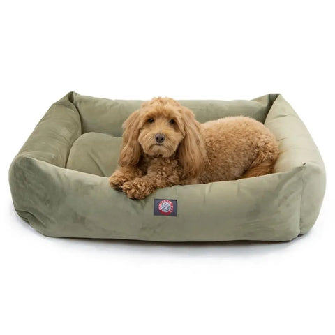 A curly-haired light brown dog relaxes in the Majestic Pet Suede Luxe Bagel Bed - Personalized, its plush fiberfill offering luxury comfort as it looks at the camera.