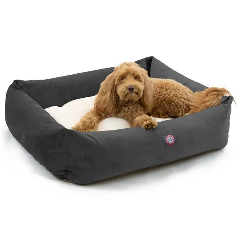 A curly-haired brown dog lounges on the Suede Luxe Bagel Bed - Personalized by Majestic Pet, featuring a plush white cushion and a dark gray, machine washable slipcover, set against a white background.
