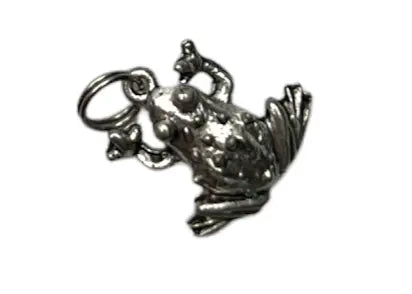 Pewter Frog Charm Necklace and Earrings Set – Adjustable Stainless Steel Chain Jewelry | Made in USA Michelle Marie Boutique  Jewelry Sets