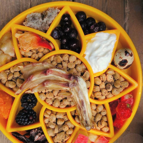 Sunflower Slow Feeder Dog Bowl 8 Inch Shallow Tray | Made in USA SodaPup  ETRAY