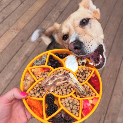 Sunflower Slow Feeder Dog Bowl 8 Inch Shallow Tray | Made in USA SodaPup  ETRAY