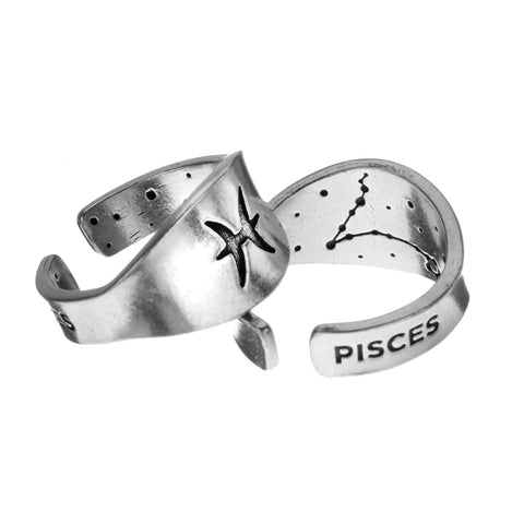 Pisces Zodiac Ring – Recycled Pewter Astrological Jewelry | Made in USA Unique Gift Whitney Howard Designs  Zodiac Rings
