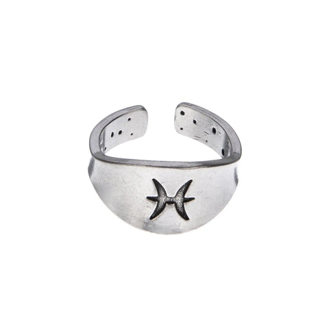 Pisces Zodiac Ring – Recycled Pewter Astrological Jewelry | Made in USA Unique Gift Whitney Howard Designs  Zodiac Rings