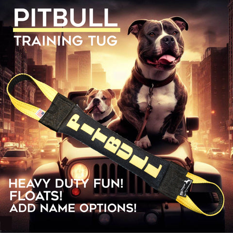 Two pitbulls sit on a jeep with a city backdrop. In front is the black and yellow Pitbull Fire Hose Training Tug V2 by Bulletproof Pet Products Inc—this durable, floating toy can be customized with your dogs name.