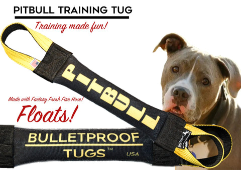 A pitbull inspects the Pitbull Fire Hose Training Tug V2 by Bulletproof Pet Products Inc—a black and yellow, floating, heavy-duty tug toy designed for tough play.