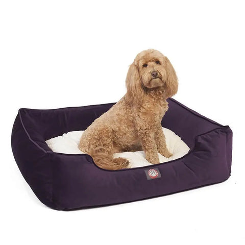 A fluffy, light brown dog sits comfortably in the Majestic Pet Velvet Contemporary Lounge Bed—a purple rectangular bed with a soft white cushion—looking slightly toward the camera.