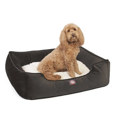 A curly-haired brown dog lounges on a soft, white cushion inside the Majestic Pet Velvet Contemporary Lounge Bed, featuring a sleek rectangular black frame.
